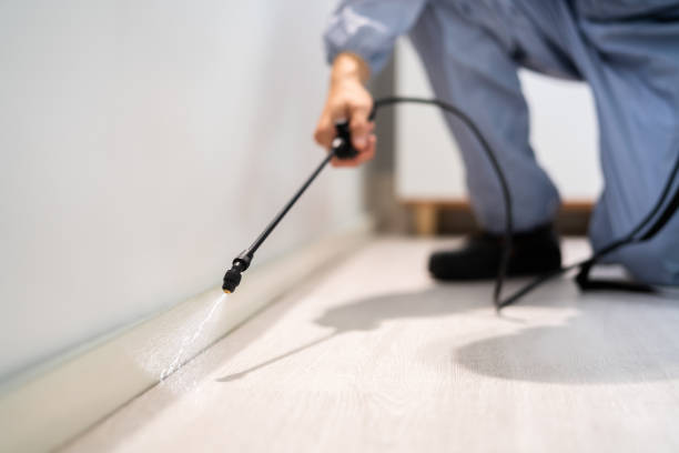 Licensed Termite Control service in Grant County County, OR - Nex Pest Control